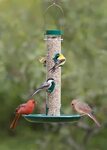 Duncraft 163G Tube & Seed Tray Bird Feeder Bird feeders, Fee