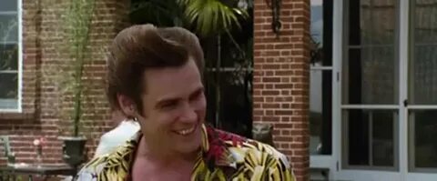 YARN A workaholic. Ace Ventura: When Nature Calls (1995) Vid