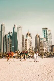 Top Things to do in Dubai UAE Dubai travel, Travel destinati