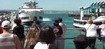 OMG! Whale watching boat crashes in San Diego dock! - Social