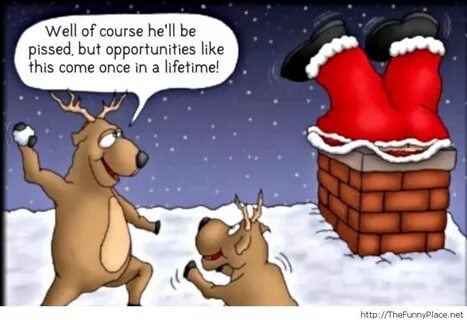 Funny christmas cartoon Funny christmas images, Christmas ca