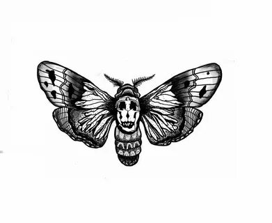 Dali moth Moth tattoo, Movie tattoos, Animal tattoos