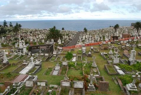 Exploring Sydney: Waverley Cemetery Mike Higginbottom Intere