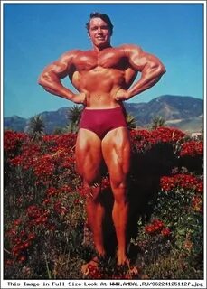 Арнольд Шварценеггер (Arnold Schwarzenegger), фотографии, би