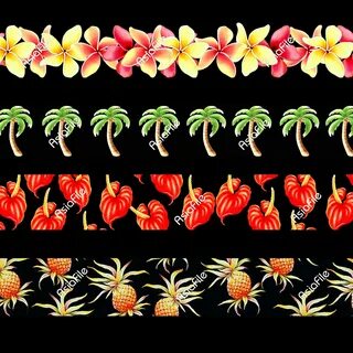 Hawaiian Clip Art Borders N6 free image download