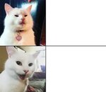 Drake Format Template Smudge the Cat Know Your Meme