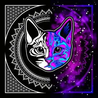 Space Kitty on Behance