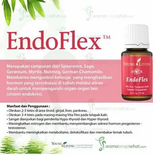 Endoflex Minyak esensial, Tiroid, Sistem endokrin