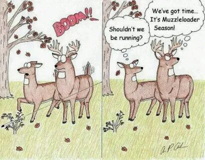 Bad shot (With images) Deer hunting humor, Hunting humor