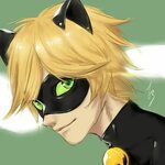 Miraculous Cat Noir"お し ゃ れ ま と め の 人 気 ア イ デ ア ｜ Pinterest 