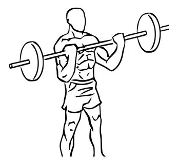 File:Bicep curls with barbell 2.svg - Wikimedia Commons