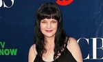 Pauley Perrette News Articles and Daily Gossips