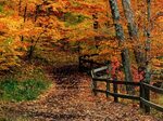 nature, Autumn Wallpapers HD / Desktop and Mobile Background