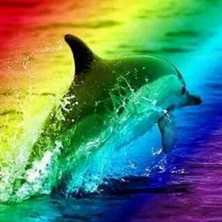 Carlijn Dolfijn. Een dolfijn in regenboogsferen. Dolphins, D