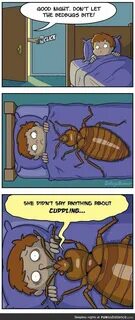 Bedbug cuddles - FunSubstance Bed bugs, Bed humor, Bed bug b