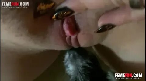 Dog Licks Clit