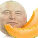 Melon Musk - YouTube