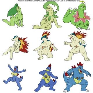 Pokemon Female Feraligatr Porn - Free porn categories watch 