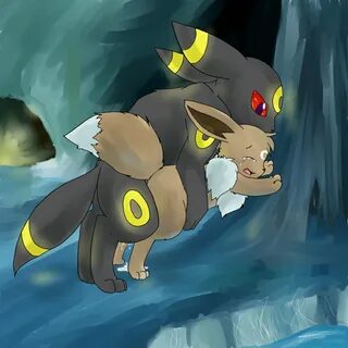 Xbooru - eevee nintendo pokemon umbreon 446316