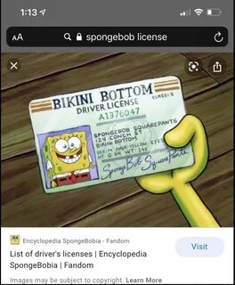 Spongebob's Driver's License has Jeffrey Epstein's home addr