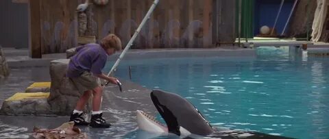 Personal Blog: Free Willy 1993