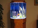55 Gallon Fish Tank Filter 10 Images - 75 Gallon Aquarium Fi