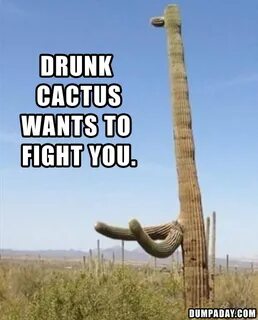 drunk cactus wants to fight you - Dump A Day