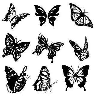 Download free photo of Set,group,9,nine,butterflies - from n
