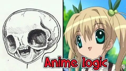 Hilarious Anime Logic That Don’t Make Sense Cartoon logic, A