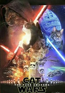 STAR WARS CAT SPOOF. Star wars memes, Star wars, Star wars h