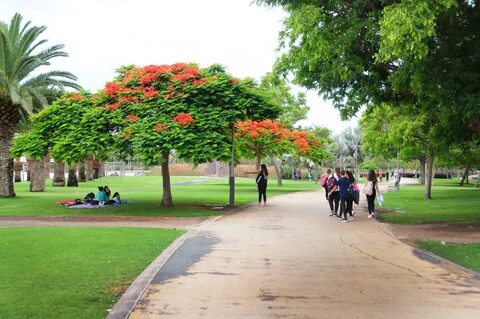 El Parque Urbano del Sur se cierra completo del 10 al 16 de 