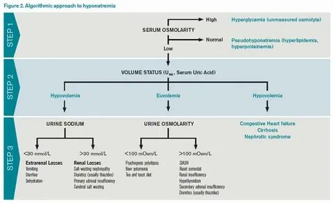 How Should Hyponatremia Be Evaluated and Managed? - Page 2 o