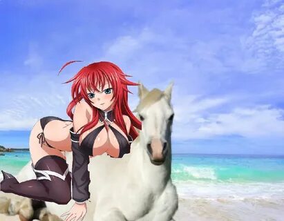 Rias Gremory found and tamed a beautiful wild white horse on