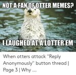 🐣 25+ Best Memes About Otter Pics Otter Pics Memes