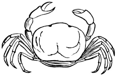 Crab Clipart Drawing and other clipart images on Cliparts pu