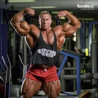 Markus Ruhl Best bodybuilder, Bodybuilding training, Bodybui