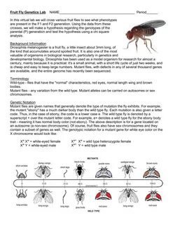 biology worksheets with answers 