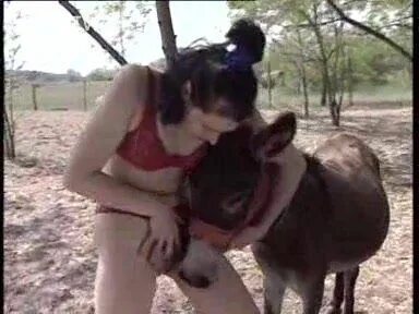 Black Girl Fuking With Donkey - Great Porn site without regi