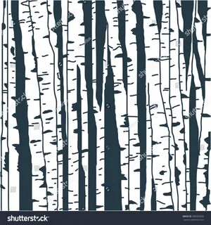 Birch Trees Background You Design Stock Vector (Royalty Free