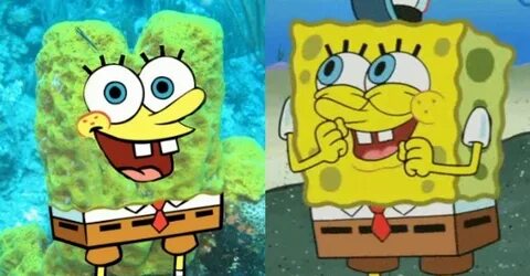 If "SpongeBob SquarePants" Characters Were Real