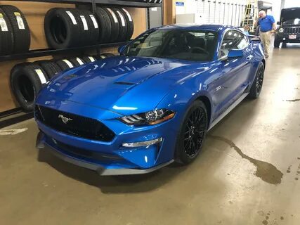 Ford Mustang Gt Velocity Blue - Top Auto Modelle