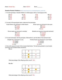 Genetics Practice Answer Key