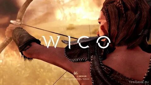 WICO - глобальная переработка NPC - Косметические моды - Мод