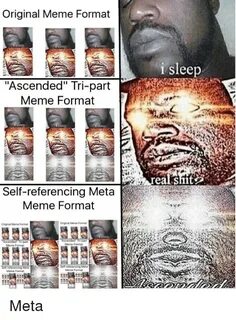 Original Meme Format I Sleep Ascended Tri-Part Meme Format R