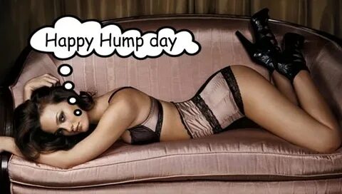 Happy Hump Day -- Sexy :: Days - Hump Day :: MyNiceProfile.c