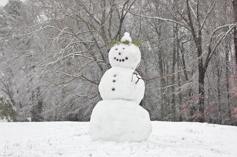 DSC_7272 Snowman, Winter theme, Snow fun