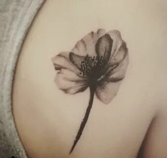 Pin by Ashley Bell on Tattoos Flower tattoo, Poppies tattoo,