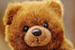 Bear Teddy Stuffed Animal Cuddly - Free photo on Pixabay