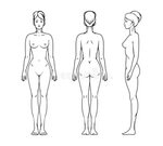 Female Human Body Outline Front Stock Illustrations - 1,122 