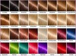 Ion Color Chart : Ion Brilliance Demi-permanemt Color chart 